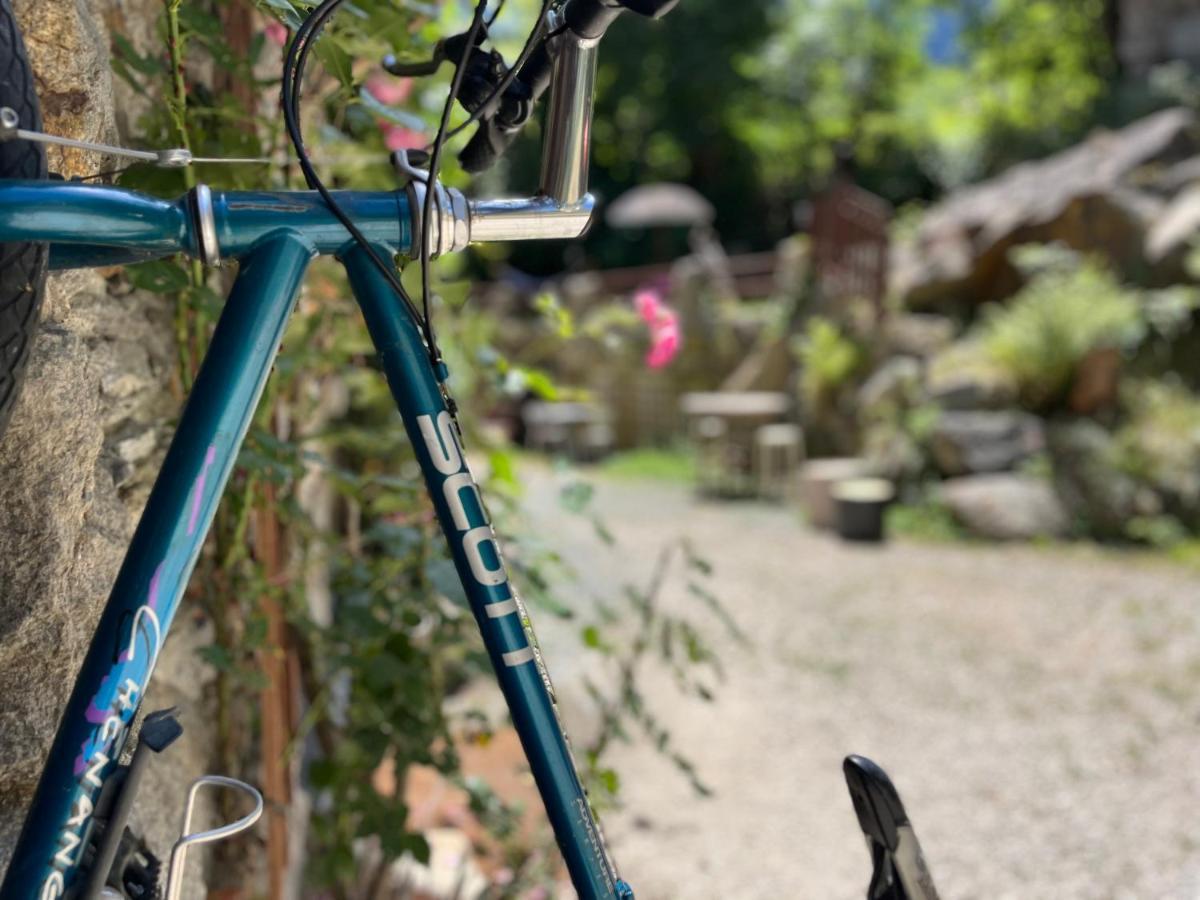Ecrins Lodge Le Bourg-dʼOisans エクステリア 写真