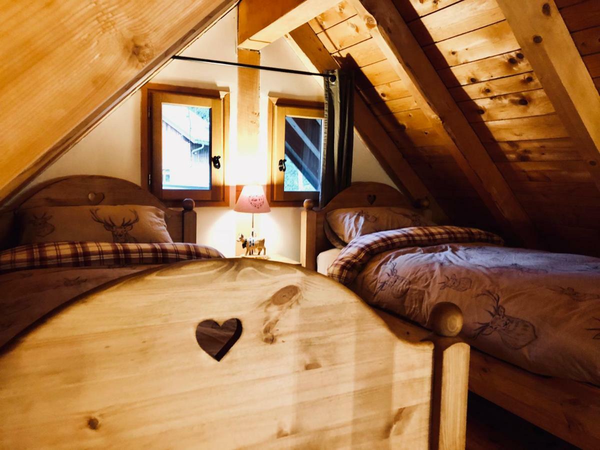 Ecrins Lodge Le Bourg-dʼOisans エクステリア 写真